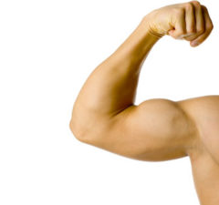 Supercharge Manliness and Optimize Hormones